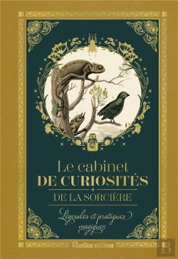 Bertrand.pt - Petit Précieux Cabinet De Curiosités De La Sorcière : Légendes Et Pratiques Magiques