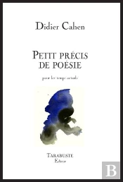 Petit Précis De Poésie Pour Les Temps Actuels