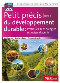 Bertrand.pt - Petit Précis Du Développement Durable Tome 6 : Pratiques, Technologies Et Leviers D'Avenir