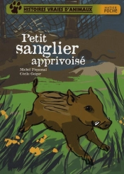 Petit Sanglier Apprivoisé