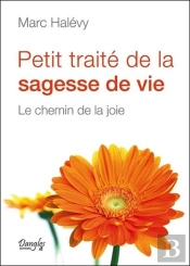 Petit Traité De La Sagesse De Vie ; Le Chemin De La Joie