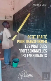 Petit Traité Pour Transformer Les Pratiques Professionnelles Des Enseignants