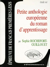 Petite Anthologie Europeenne Roman Apprentissage