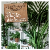 Petite Encyclo Rustica Des Plantes D'Intérieur