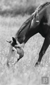 Petite Equine Journal
