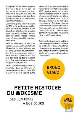 Bertrand.pt - Petite Histoire Du Wokisme Des Lumières À Nos Jours