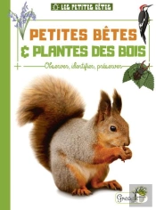 Petites Bêtes Et Plantes Des Bois