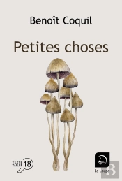 Petites Choses