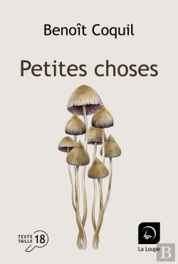 Bertrand.pt - Petites Choses