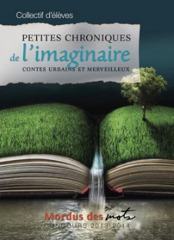 Bertrand.pt - Petites Chroniques De Laimaginaire: Contes Urbains Et Merveilleux