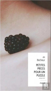 Petites Pieces Pour Un Puzzle