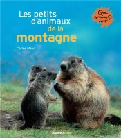 Petits Animaux De La Montagne