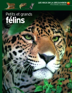 Bertrand.pt - Petits Et Grands Félins