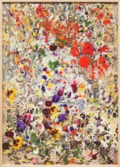 Petra Cortright