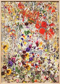 Bertrand.pt - Petra Cortright