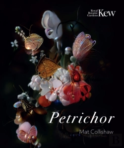 Bertrand.pt - Petrichor