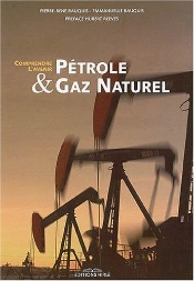 Petrole Et Gaz Naturel ; Comprendre L'Avenir
