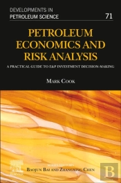 Petroleum Economics And Risk Analysis
