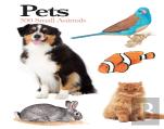 Pets