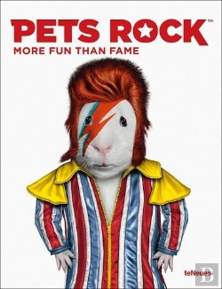 Bertrand.pt - Pets Rock