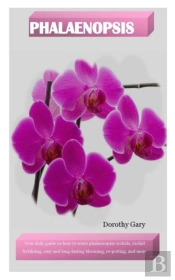 Phalaenopsis
