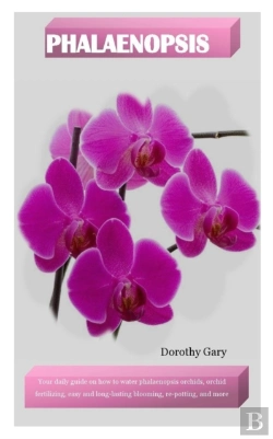 Bertrand.pt - Phalaenopsis