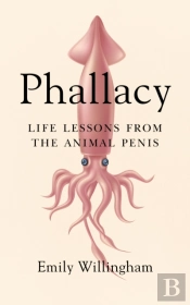 Phallacy