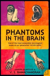 Phantoms In The Brain