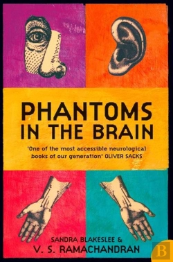 Bertrand.pt - Phantoms In The Brain