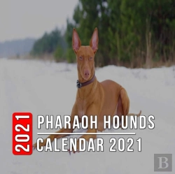 Bertrand.pt - Pharaoh Hounds Calendar 2021