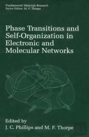 Phase Transitions And Self-Organization In Electronic And Molecular Networks