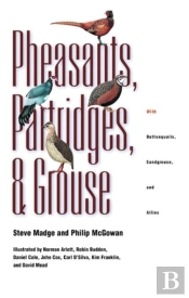 Pheasants, Partridges, And Grouse