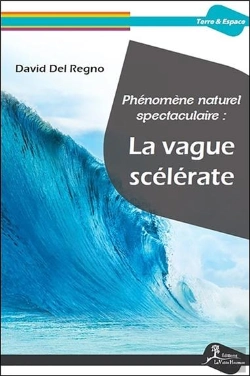 Bertrand.pt - Phénomène Spectaculaire : La Vague Scélérate