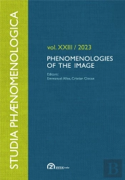Phenomenologies Of The Image