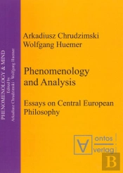 Phenomenology & Analysis