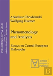 Phenomenology & Analysis