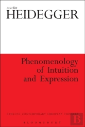 Phenomenology Of Intuition And Expression