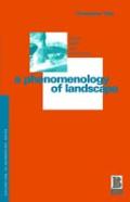 Phenomenology Of Landscape