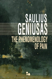 Phenomenology Of Pain