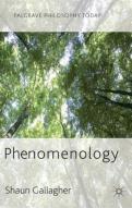 Phenomenology