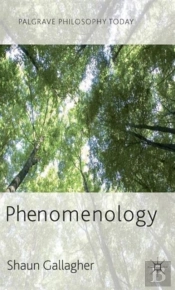 Phenomenology