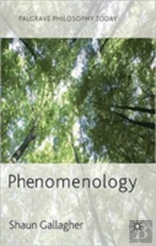 Phenomenology