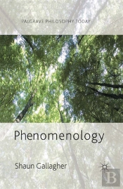 Phenomenology