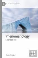 Phenomenology