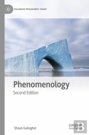 Phenomenology
