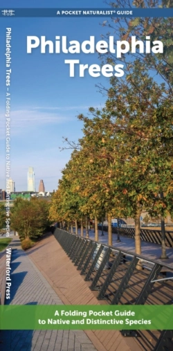 Bertrand.pt - Philadelphia Trees