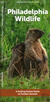 Philadelphia Wildlife