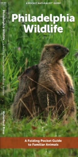Bertrand.pt - Philadelphia Wildlife