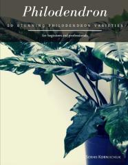 Philodendron