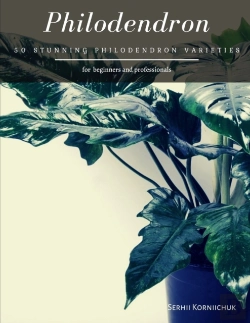 Bertrand.pt - Philodendron